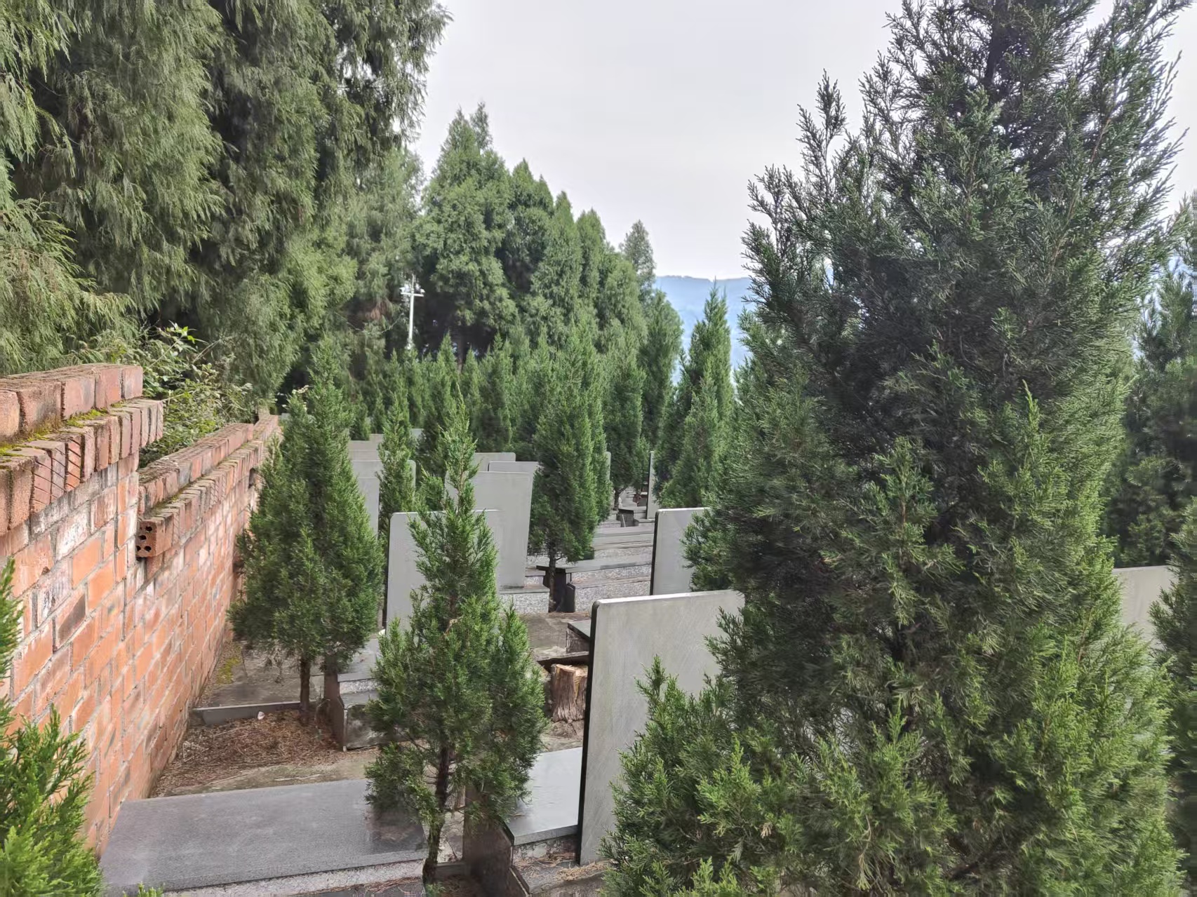 金龙山公墓墓型样式5
